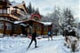 Sole Paradiso PH, San Candido (33)