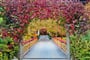 Sole Paradiso PH, San Candido (34)