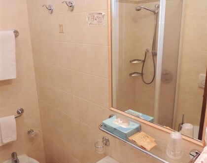 Hotel Christine   Campitello di Fassa (5)