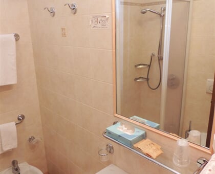 Hotel Christine   Campitello di Fassa (5)