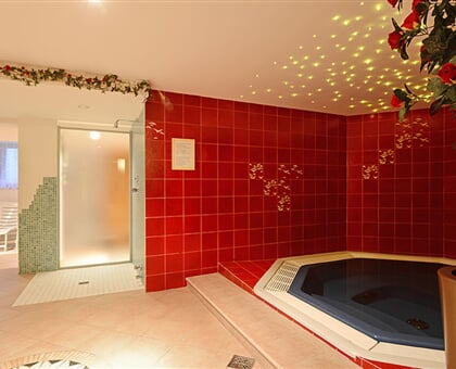 Hotel Dolomites Inn   Canazei (2)