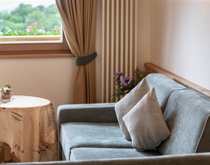 Residence Diana, Terento 25 (25)