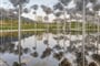 Gallery_92