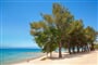 Veya Maradiso Hotel by Aminess - Njivice (ostrov Krk) - 101 CK Zemek - Chorvatsko