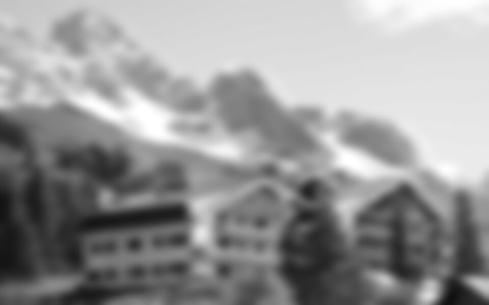 Rezidence Rododendro - Passo San Pellegrino