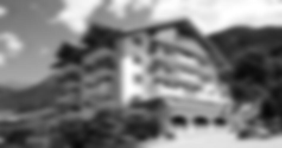 Hotel Rio Stava Family Resort Spa**** - Tesero