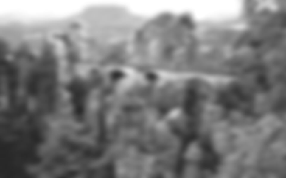 Severní Čechy, Děčín - NP Českosaské Švýcarsko, Děčín - hotel Faust ***