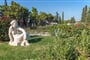 Velaris Aminess Vival Casa - Supetar (ostrov Brač) - 101 CK Zemek - Chorvatsko