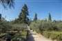 Velaris Aminess Vival Casa - Supetar (ostrov Brač) - 101 CK Zemek - Chorvatsko