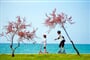 Sirena Aminess Planet Camping Holiday Homes - Novigrad - 101 CK Zemek - Chorvatsko