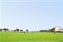 Sirena Aminess Planet Camping Holiday Homes - Novigrad - 101 CK Zemek - Chorvatsko