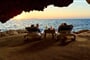 Dreams-Resorts-3