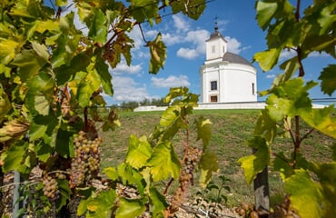 To nejlepší z Tokaje + VINOBRANÍ + LÁZNĚ V EGERU