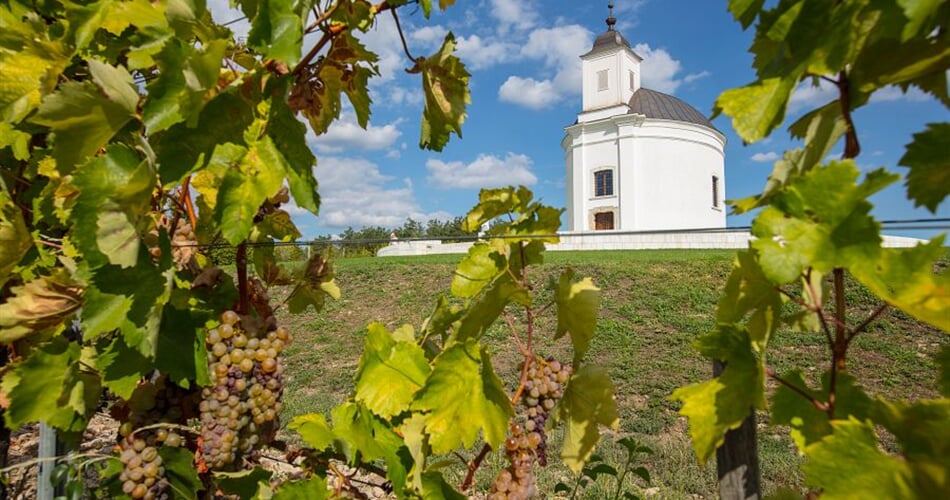 Foto - To nejlepší z Tokaje + VINOBRANÍ + LÁZNĚ V EGERU