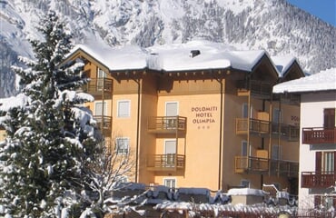 Dolomiti Hotel Olimpia *** - Andalo