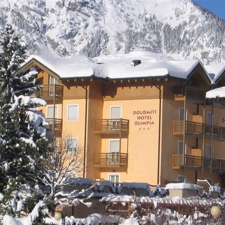 Dolomiti Hotel Olimpia *** - Andalo