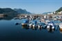 7. Molde