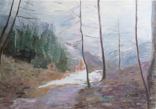 Quarry in the fog