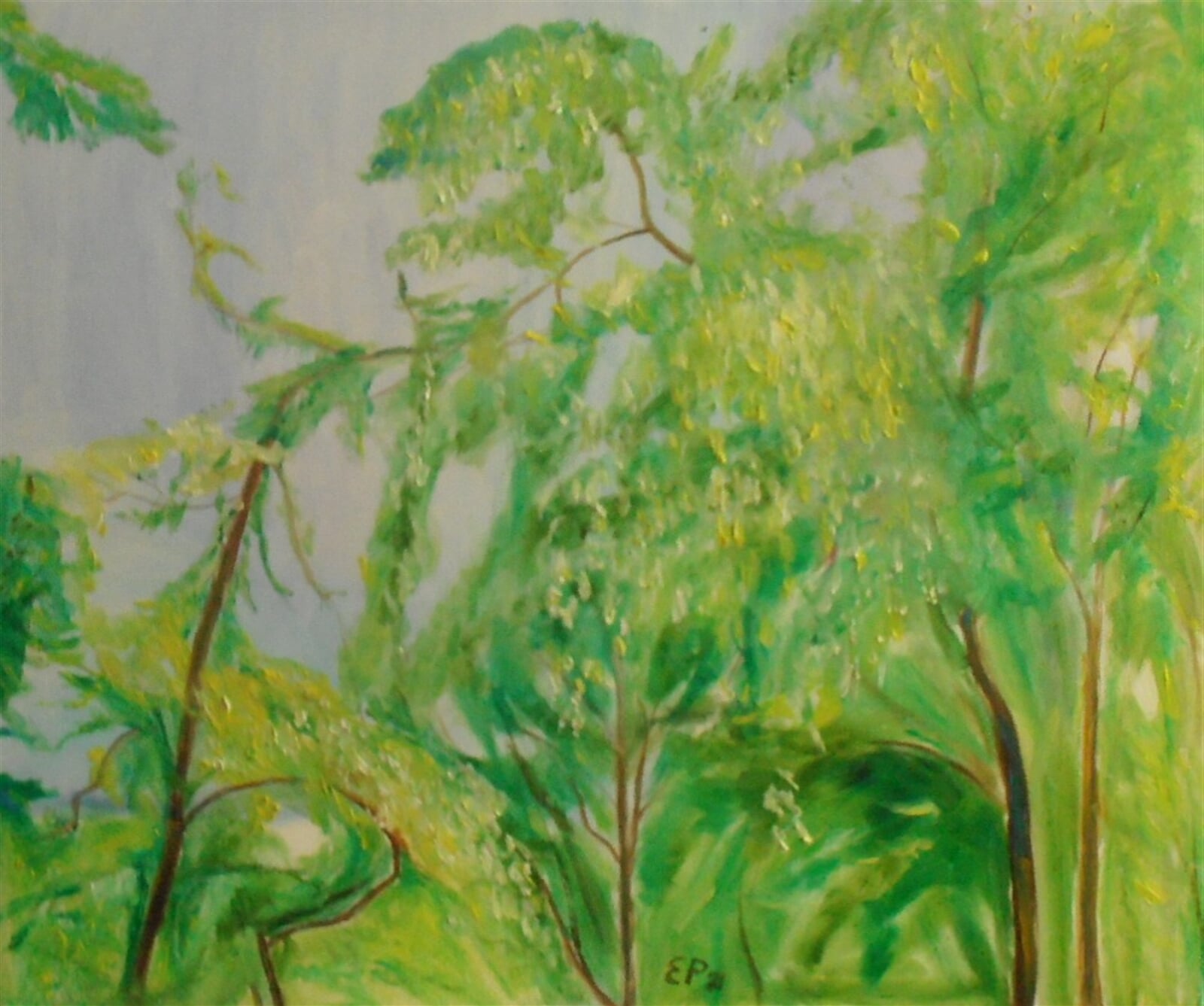 Eva Průšová: Akáty, 50 × 60 cm