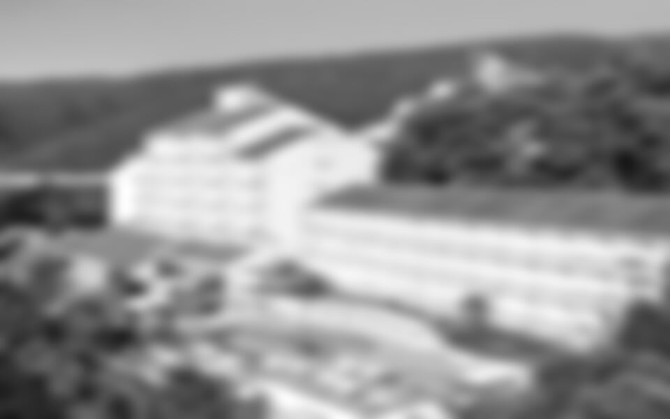 Rabac - Allegro / Miramar Sunny hotel ***