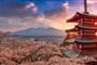 Foto - Dle programu - Japonsko ****