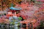 Foto - Dle programu - Japonsko ****