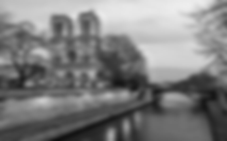 Adventní Paříž + OPERA GARNIER + LOUVRE (letecky z Prahy)