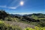 Tenerife 