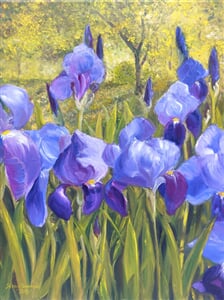 Kosatce, olej na plátně, 25 x 35 cm