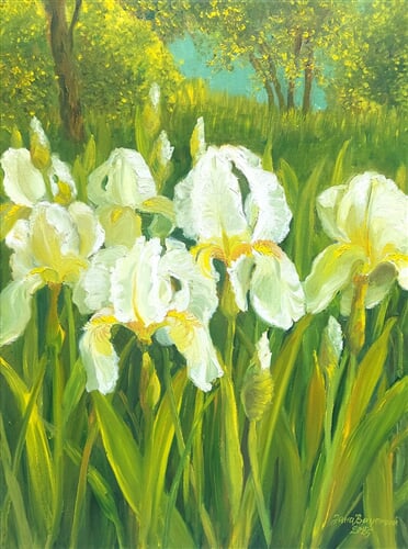 kosatce III, olej na plátně, 25 x35 cm