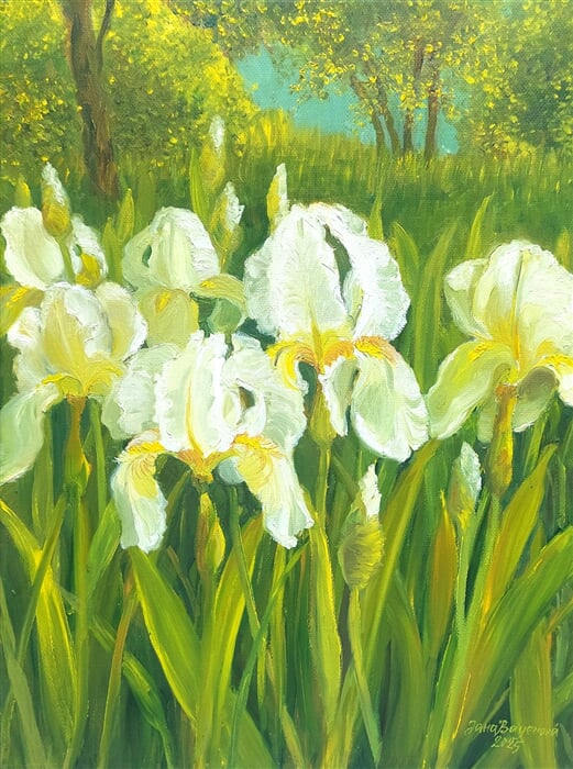 kosatce III, olej na plátně, 25 x35 cm
