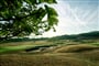 Golf Sokolov (1)