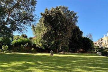 Oblast OLBIA TEMPIO - PORTO ROTONDO RESIDENCE VILLAGE 2