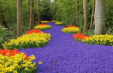 Holandsko - Velikonoce A Tulipány