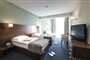 Bohinj ECO Hotel Executive Room