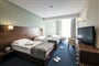 Bohinj ECO Hotel Executive Room