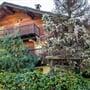 Apartmány Champoluc - Champoluc
