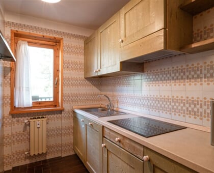 Apartmány Champoluc  (9)