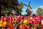 Za tulipány do Holandska - poznávací zájezd do Nizozemí