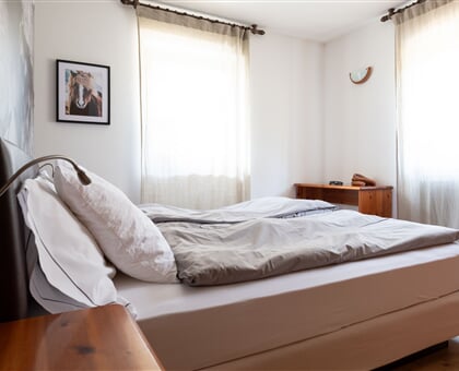 Chalet Vedig   Santa Caterina Valfurva (19)