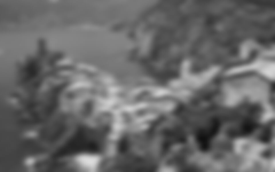 Z Ligurie pod toskánské slunce