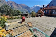 Annapurna trek3