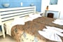 Hotel Pandrossos: fotografie vybavení exteriérů a interiérů ubytování.