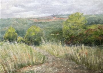 Pohled na Prahu od severu