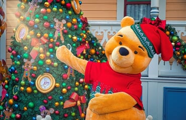 Vánoční Disneyland, Disney hotel 3* a Paříž (ZÁJ)