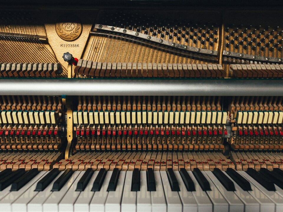 markus gjengaar v3l8kTbPhzA unsplash
