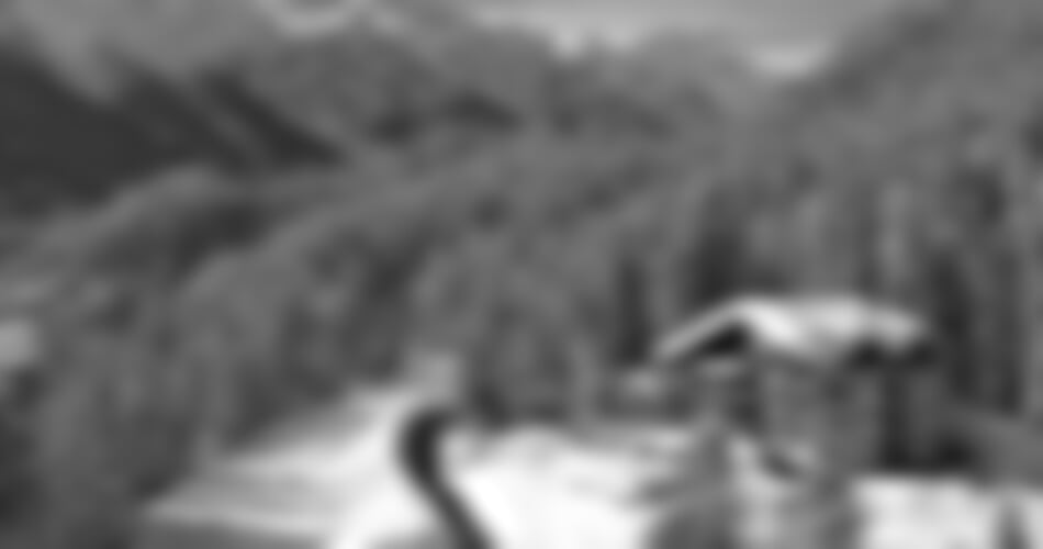 Dolomiti Superski - Alpe Lusia - San Pellegrino - Rezidence PANORAMA
