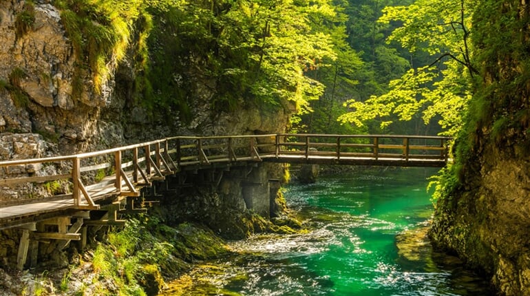 Slovinsko - soutěska Vintgar