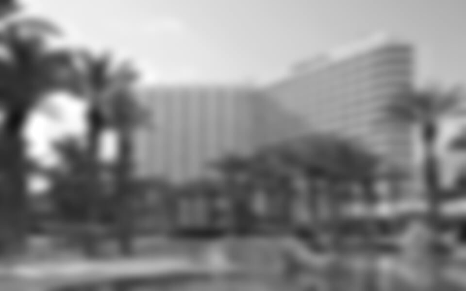 David Dead Sea Resort & Spa, Mrtvé moře