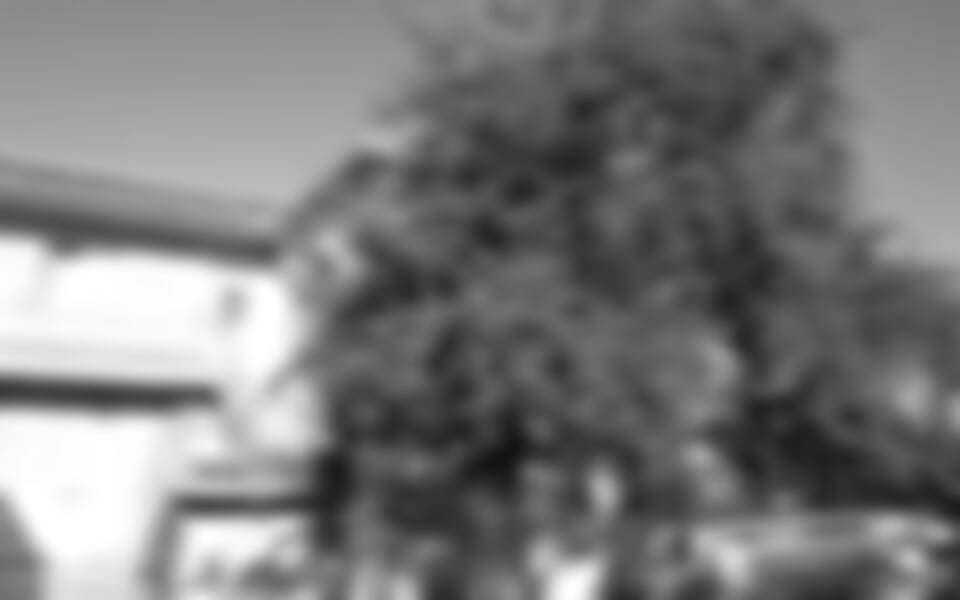 Orebič (Pelješac) - Milena vila ***